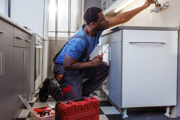 Best Local Plumber Services  in Lansford, PA